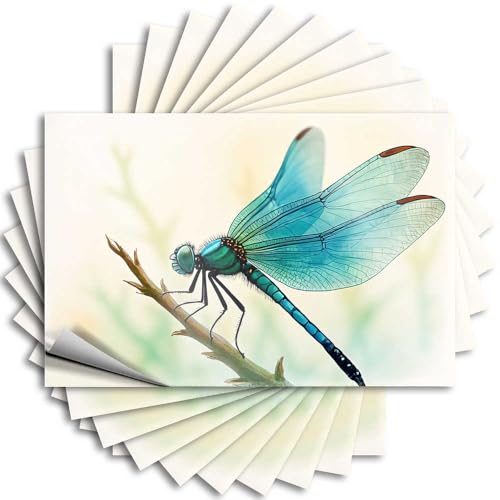 Auto-Aufkleber, lustige blaue Libelle auf einem Ast, lustige Autoaufkleber für Erwachsene, Aufkleber für Autos (8 x 12 cm) von CDSS