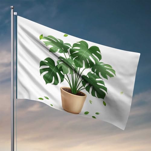 Coole Flaggen für Männerhöhle Monstera Deliciosa: tropische Zimmerpflanzenflaggen für Zimmer, Mädchen, cooles Raumzubehör für Tee (30 x 45 cm) von CDSS