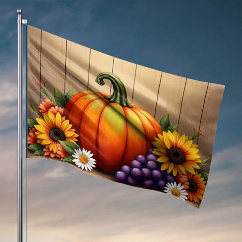 Coole Flaggen für Studentenwohnheim, Herbsternte: Kürbisse, Sonnenblumen und Trauben, Flaggen für Teenager, Outdoor, Bar, Zubehör, Dekoration (152 x 244 cm) von CDSS