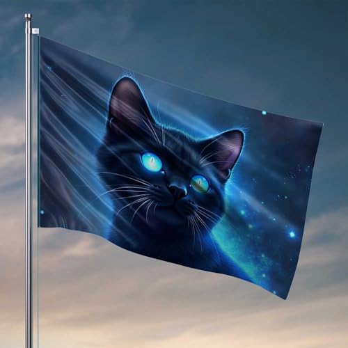 Flagge für Herren, Motiv: blauäugige schwarze Katze im Weltraum, für Männerhöhle, lustige Flaggen für Studentenwohnheim (120 x 180 cm) von CDSS