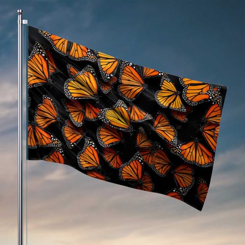 Flagge mit bunten Schmetterlingen auf schwarzem Hintergrund, für Zimmer, Teenager, Mädchen, Herbst, Gartenflagge (60 x 90 cm) von CDSS