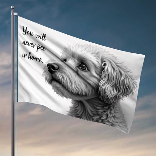 Gartenflagge, lustig, Aufschrift "Never Pee In Home: A Dog's Promise", Windsack, Outdoor-Autoflaggen für Zimmer (152 x 244 cm) von CDSS