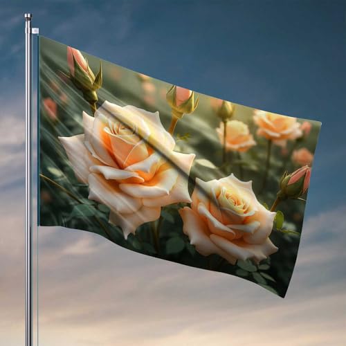 Heimdekor, weiche Pfirsichrosen in Blüte, Herbstdekoration, Gartenflaggen für draußen (152 x 244 cm) von CDSS