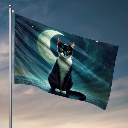 Lustige College-Dekoration, schwarze Katze unter dem Mondschein, Heimdekoration, Herren, College-Wohnheim-Flaggen (30 x 45 cm) von CDSS