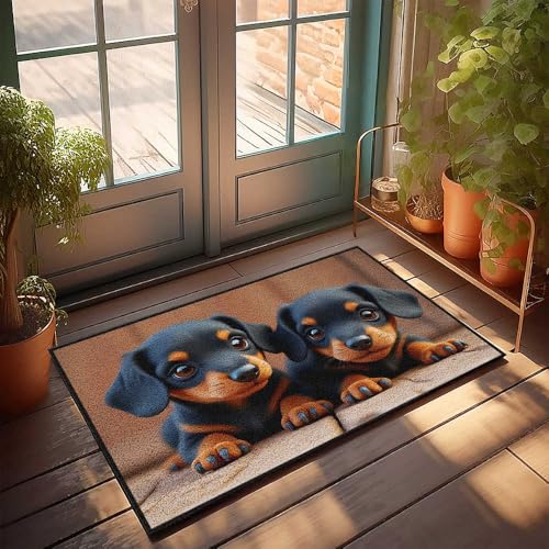 Sommer-Fußmatte, zwei niedliche schwarze und hellbraune Welpen auf Holzboden, kleine Outdoor-Matte, coole Sachen für Jungen (50 x 80 cm) von CDSS