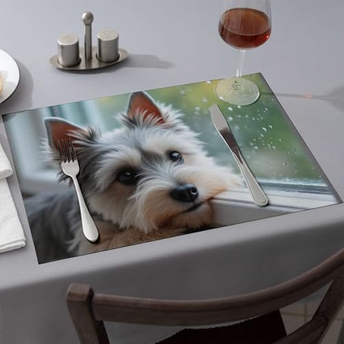 Tischsets, Motiv: bezaubernder Hund am regnerischen Fenster, Esstischsets, moderne Bauernhaus-Dekoration, hitzebeständige Matten für Cous, 1 Stück von CDSS