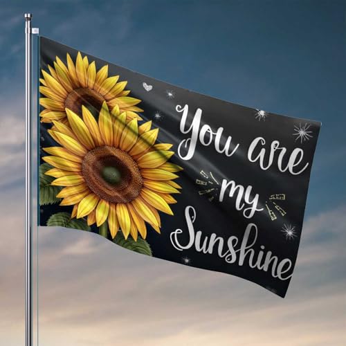 Wandflaggen für Jungs, Sonnenschein in jedem Moment, Flagge, Wimpelkette, Outdoor-Dekoration (120 x 180 cm) von CDSS