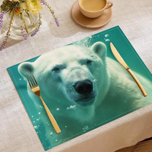 4 Stück Set Tier Platzsets, 30x45cm Küche Tisch Dekoration Urlaub Dekor Grün Platzsets Waschbar Platzdeckchen Unterwasser-Nordstern Baumwolle Leinen tischsets für Küche Party von CDXNORA