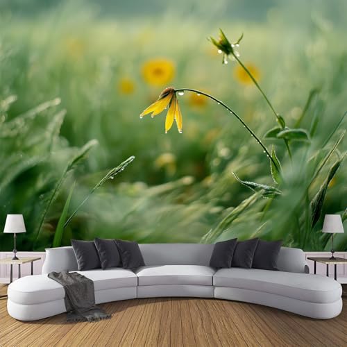 Fototapete Natürliche Landschaft 150×105cm XL Tapete Feld-Echinacea Fototapeten Seide Tapeten Grün Wandbild Wand Schlafzimmer Wohnzimmer 3d Effekt Wand Dekoration Fototapete Natürliche Landschaft 150×105cm XL Tapete Feld-Echinacea Fototapeten Seide Tapeten Grün Wandbild Wand Schlafzimmer Wohnzimmer 3d Effekt Wand Dekoration von CDXNORA