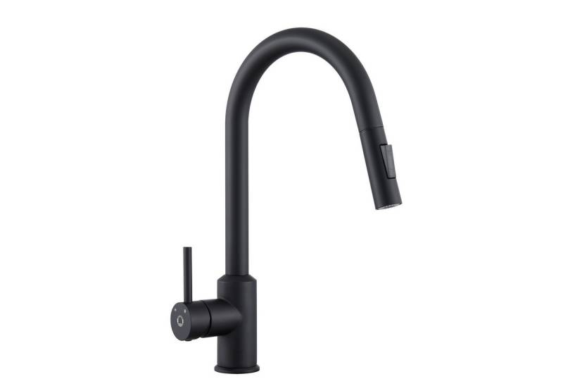 CECIPA MAX Küchenarmatur Hochdruck Küche ausziehbar mit 2 Strahlarten Küchenspüle-Mischer (schwarz, 1-St., um 360 Grad schwenkbar) Edelstahl von CECIPA MAX