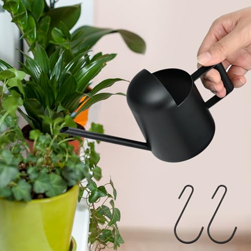 Gießkanne Klein für Zimmerpflanzen, 300ml Klein Edelstahl Watering Can Langer Auslauf Giesskanne mit 2 S-förmige Haken, Blumengießkanne für Zimmerpflanzen Sukkulenten Topfpflanze (Schwarz) von CECOMBINE