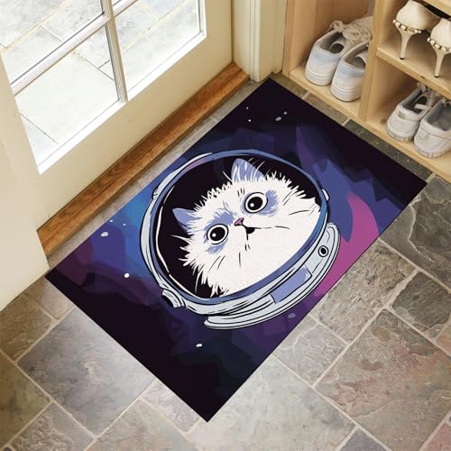 CEDNXOER Blau Fußmatte Innen 45x75 cm Süße Tiere, Waschbar Eingangsteppich, Astronautenkatze Schmutzfangmatte rutschfest, Kurzflor Türmatte Teppich für Eingang, Haustür, Flur von CEDNXOER