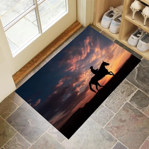 CEDNXOER Blau Fußmatte Innen 50x80 cm Natur Landschaft, Waschbar Eingangsteppich, Sonnenuntergang Reiter Schmutzfangmatte rutschfest, Kurzflor Türmatte Teppich für Eingang, Haustür, Flur von CEDNXOER