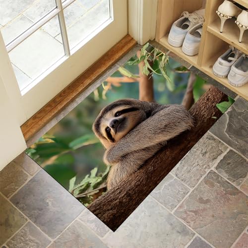 CEDNXOER Eingangsteppich Zweige Koala Fußmatte Innen, rutschfeste Dauerhaft Süße Tiere Fußmatte, Waschbar Schmutz Widerstehen Braun Türmatte Für Haustür Eingang 60x90 cm CEDNXOER Eingangsteppich Zweige Koala Fußmatte Innen, rutschfeste Dauerhaft Süße Tiere Fußmatte, Waschbar Schmutz Widerstehen Braun Türmatte Für Haustür Eingang 60x90 cm von CEDNXOER