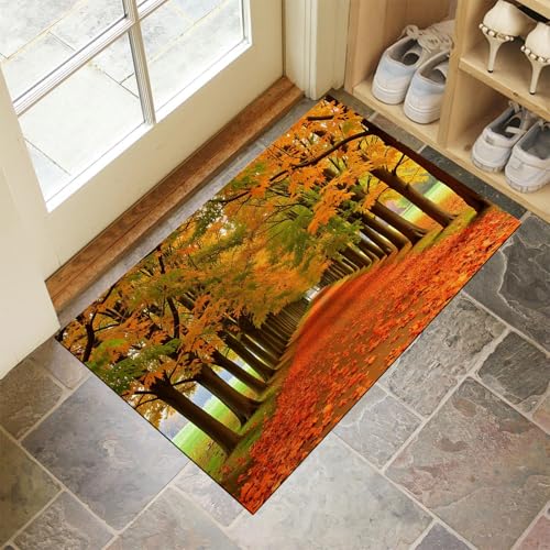 CEDNXOER Fußmatte Innen Waschbare, Dünn Fussmatte Orange 50x80 cm, Teppich Herbstwald Bettvorleger rutschfest für Schlafzimmer, Gelb Blätter Pflanzen Fußmatten Innen für Haustür, Küche von CEDNXOER