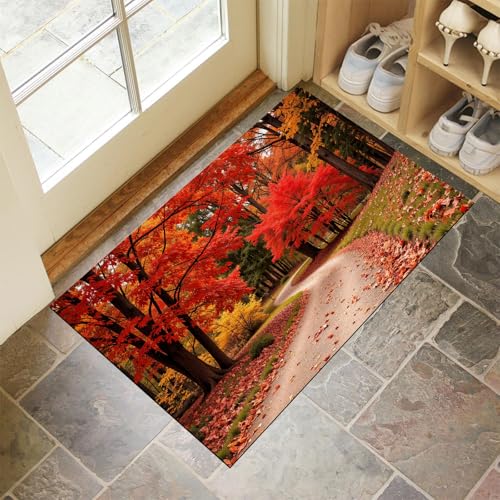 CEDNXOER Rot Fußmatte Innen 60x90 cm Herbst Fallende Blätter, Waschbar Eingangsteppich, Wald Straße Schmutzfangmatte rutschfest, Kurzflor Türmatte Teppich für Eingang, Haustür, Flur CEDNXOER Rot Fußmatte Innen 60x90 cm Herbst Fallende Blätter, Waschbar Eingangsteppich, Wald Straße Schmutzfangmatte rutschfest, Kurzflor Türmatte Teppich für Eingang, Haustür, Flur von CEDNXOER