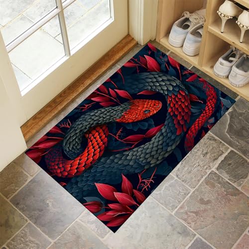 CEDNXOER Schwarz Fußmatte Innen 45x75 cm Tierwelt, Waschbar Eingangsteppich, Fantasie Schlange Schmutzfangmatte rutschfest, Kurzflor Türmatte Teppich für Eingang, Haustür, Flur von CEDNXOER
