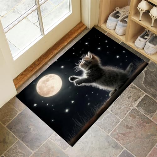 CEDNXOER Schwarz Fußmatte Innen 50x70 cm Süße Tiere, Waschbar Eingangsteppich, Katze Kratzt Am Mond Schmutzfangmatte rutschfest, Kurzflor Türmatte Teppich für Eingang, Haustür, Flur von CEDNXOER