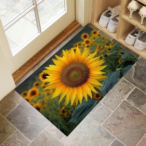 CEDNXOER Türmatten Waschbar 50x70 cm Gelbe Sonnenblume, Anti-Rutsch Schmutzfang Bodenmatte, Bauernhaus Blumen Innen Haustür Matten, Grün Absorbierende Low Profile Matte für Halle Eingang von CEDNXOER