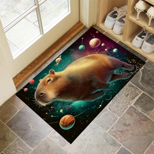 CEDNXOER Türmatten Waschbar 50x70 cm Wasserschwein Weltraum, Anti-Rutsch Schmutzfang Bodenmatte, Zeichentrick Tiere Innen Haustür Matten, Grün Absorbierende Low Profile Matte für Halle Eingang von CEDNXOER
