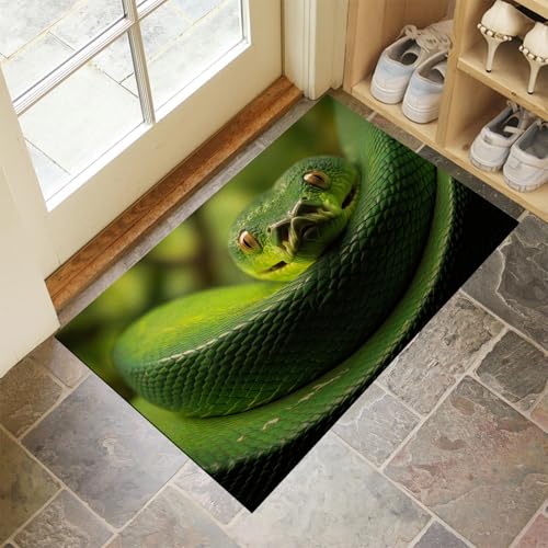 CEDNXOER Türmatten Waschbar 80x120 cm Schlangenkopf, Anti-Rutsch Schmutzfang Bodenmatte, Tier Innen Haustür Matten, Smaragdgrün Absorbierende Low Profile Matte für Halle Eingang CEDNXOER Türmatten Waschbar 80x120 cm Schlangenkopf, Anti-Rutsch Schmutzfang Bodenmatte, Tier Innen Haustür Matten, Smaragdgrün Absorbierende Low Profile Matte für Halle Eingang von CEDNXOER