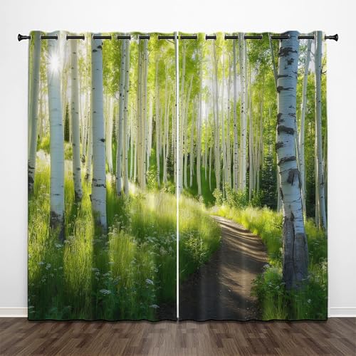 CEDNXOER Wald Straße Verdunkelungsvorhänge für Schlafzimmer, Pflanzen Gras Verdunklungsvorhänge mit Ösen, 2er Set H 200 x B 70 cm Vorhang Blickdicht für Wohnzimmer Schlafzimmer Dekoration von CEDNXOER