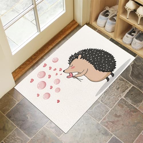 CEDNXOER Weiß Fußmatte Innen 40x60 cm Zeichentrick Tiere, Waschbar Eingangsteppich, Igel Bläst Seifenblasen Schmutzfangmatte rutschfest, Kurzflor Türmatte Teppich für Eingang, Haustür, Flur von CEDNXOER