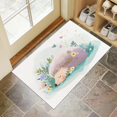 Fußmatte Innen 80x120 cm, Niedlicher Igel Und Schmetterling Schmutzfangmatte, Fantasie Tiere rutschfest Fußmatte Waschbar, Grün Saugstarke Eingangsteppich, Dünne Fussmatte, Türmatte für Eingang von CEDNXOER