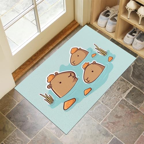 Hellblau Fußmatte Innen 50x70 cm Cartoon Tiere Graffiti, Waschbar Eingangsteppich, Süßes Wasserschwein Schmutzfangmatte rutschfest, Kurzflor Türmatte Teppich für Eingang, Haustür, Flur von CEDNXOER