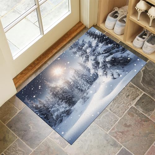 Schmutzfangmatte Innen, Weiß Waschbarer Fussmatte, Schnee Wald Winter Pflanzen Weihnachten Teppiche, Niedriger Flor, rutschfest, Weiche, Eingangstürmatte für Flur Eingangsbereich Küche, 40x60 cm von CEDNXOER