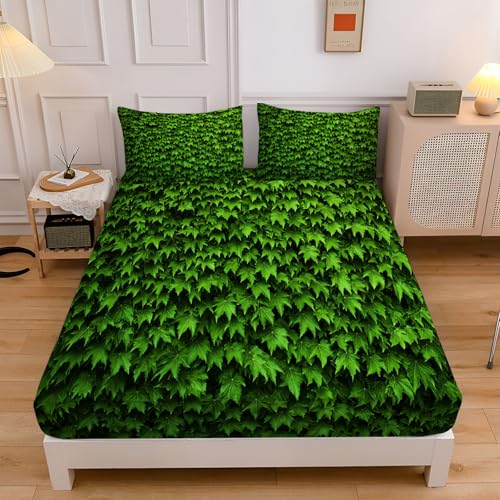 Spannbettlaken 140x200cm für Kinder, Dicht Efeu Soft Mikrofaser Spannbetttuch mit 30 cm Tiefe Tasche, Grün Natur Pflanzen Dekorativer Boxspringbett mit 2 Kissenbezügen 80x80 cm Spannbettlaken 140x200cm für Kinder, Dicht Efeu Soft Mikrofaser Spannbetttuch mit 30 cm Tiefe Tasche, Grün Natur Pflanzen Dekorativer Boxspringbett mit 2 Kissenbezügen 80x80 cm von CEDNXOER