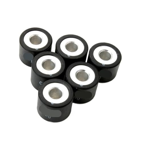 6 Stück 19 x 15,5 mm 5 g – 8 g Variator-Rollengewichte, kompatibel mit Atlantis50 Bullet50EU2 GP150 Scooter CM1102025 CM1102045(8G) von CEESuEB