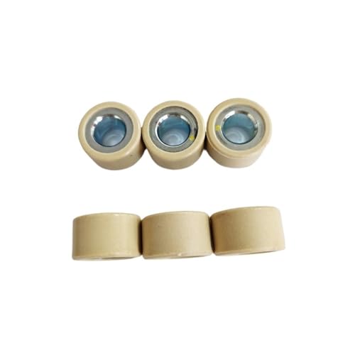 6 Stücke 20x12mm Variatorrollengewicht 11g 13g 14g 18g Kompatibel mit NMAX125 NMAX155 Aerox155 NVX155 Roller CVT-Kupplungssatz(14g) von CEESuEB