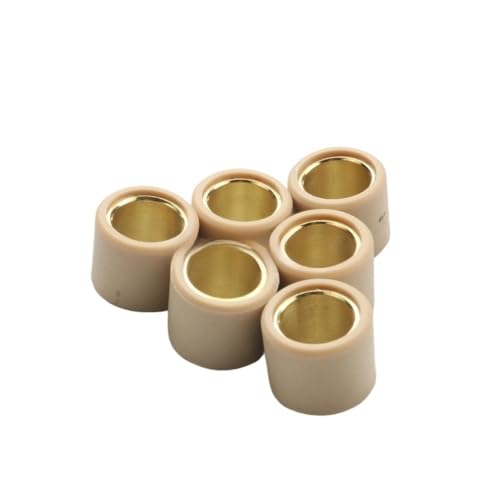 CEESuEB 6PC Variator Roller Gewichte Runde 21x17mm 13g Kompatibel Mit Beverly250 Tourer250 Carnaby250 GTS ABS X7 X8 X9 EU3 4-hub Roller Motor von CEESuEB
