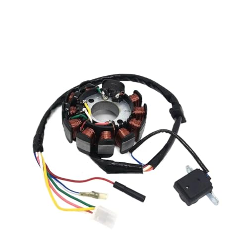 CEESuEB Magneto Stator 11-Pole 6-Draht Spule Kompatibel Mit GY6 125cc 150cc Roller ATV Go Kart Buggy von CEESuEB
