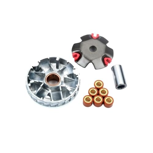 CEESuEB Scooter Racing Variator Kit mit 20 mm 9 g Rollengewichten, kompatibel mit DIO AF18 50 cc 2-Takt-Motor von CEESuEB