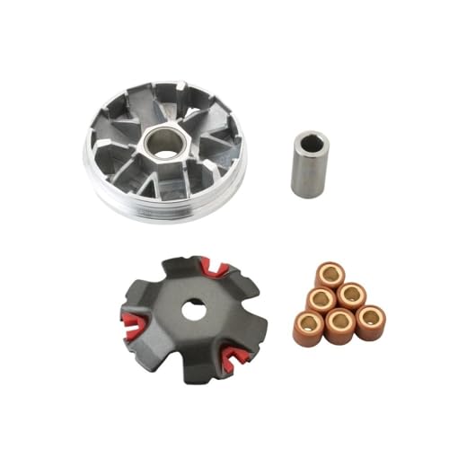 CEESuEB Scooter-Variator-Kit mit 16 x 13 mm 9 g Rennrolle, kompatibel mit Buxy50 Vivacity50 Speedake50 Speedfight1 Speedfight2 Splinter50 Squab50 TKR50 2-Takt-Motor von CEESuEB