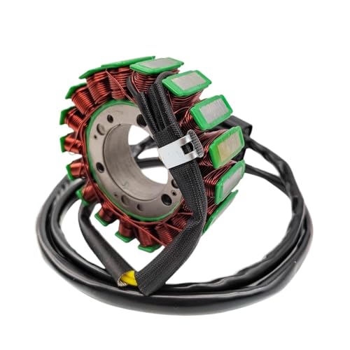 CEESuEB Stator Starter Generator Magneto Kit Kompatibel Mit LZ800 UTV STELS800V RM PM Seite durch Seite Ersetzt 31120-E05-0000 370101-001-0000 von CEESuEB