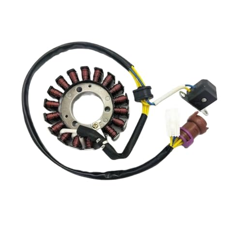 Stator Magneto Spule Wasserdicht Kompatibel Mit ATV300 300CC Quad Motor 2.1.01.2061 von CEESuEB