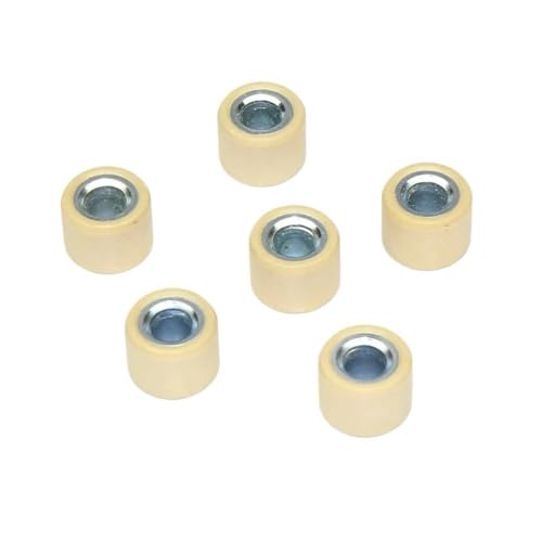 Variator-Rollengewichte 16 x 13 mm, 6 Stück, kompatibel mit GY650 139QMB DIO50 50ccm Roller-Motorrad-Getriebeteilen(6.8g (white)) von CEESuEB