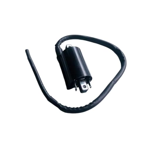Zündspule Kompatibel Mit GN125 125CC EN125 125CC GS125 125CC GT125 125CC GN150 150CC Motorrad Zündung Gerät von CEESuEB