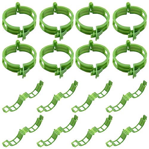 CEEYSEE 100 Stück Pflanzenclips, Pflanzenklammern Gartenpflanze Clips für Kletterpflanzen Pflanzen Befestigung Clips für Pflanzen, Weinreben, Tomaten, Gurken, Orchidee, Blumen (ZW-YXJ) von CEEYSEE