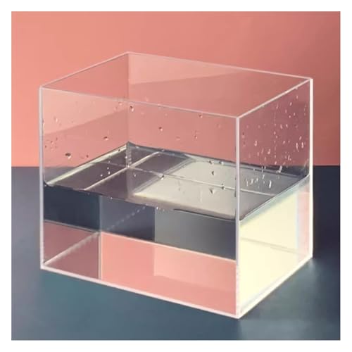 CEHJZQRPL Acryl-Wassertank for Tief- und Flachwasseraufnahmen, transparenter Wassertank, multifunktionale Aufbewahrungsbox(100x100x6CM/39.4x39.4x2.4in) von CEHJZQRPL