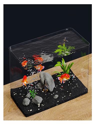 CEHJZQRPL Aquatic Displays & Photo Shoots Transparente Vitrine, bruchsicherer Aquariumbehälter for die Schreibtischdekoration(16x10x10cm/6.3x3.9x3.9in) von CEHJZQRPL