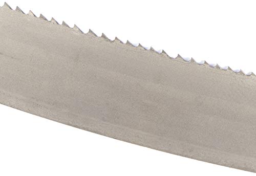 Band celesa – M42 4620 x 41 x 1,33 4/6 V-d Band celesa – M42 4620 x 41 x 1,33 4/6 V-d von CELESA