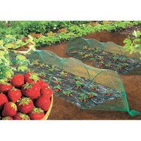 Birdnet Vogelschutznetz - 5 x 5 m - Grün Nortene von CELLOPLAST