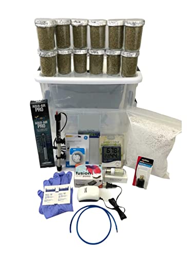 12 Jars Mushroom Growing Kit Ultimate Fast Automated Cultivation Equipment von CELLWORLD
