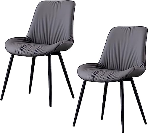 CEMELI Moderne Esszimmerstühle, 2er-Set, weiches PU-Leder, Sitzkissen, Küchenzimmerstühle, Karbonstahlfüße, Beistellstühle (Farbe: Hellgrau) von CEMELI