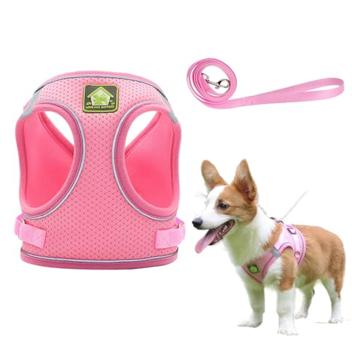 CENCERY Geschirr für kleine Hunde und Kätzchen, Größe XS, Orange – verstellbares, ausbruchssicheres Haustiergeschirr mit reflektierenden Streifen für Katzen, Welpen und extra kleine Hunde von CENCERY