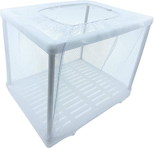 CENPEK Aquarienfischzuchtbox Isolationsbox Brüterei Inkubator von CENPEK